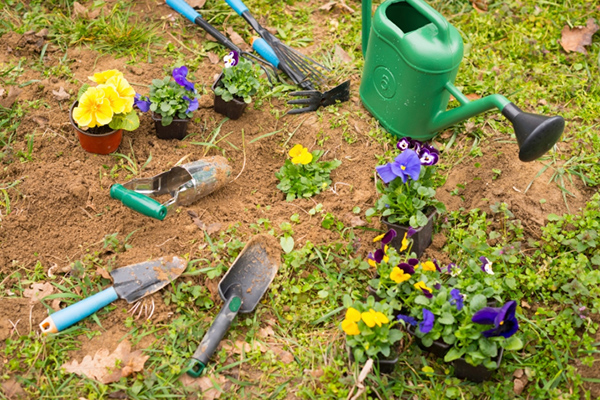 Lawn Care Lawn Care